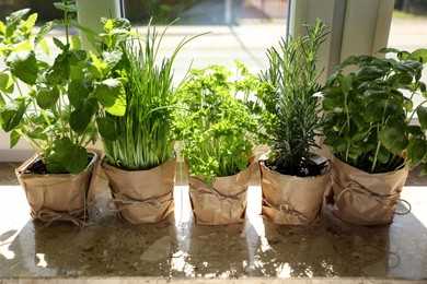 Photo of Different aromatic potted herbs on windowsill indoors