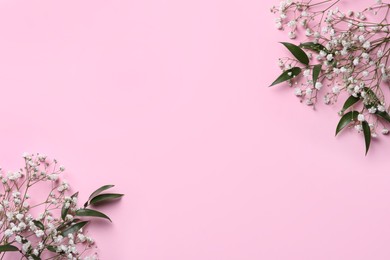 Beautiful gypsophila and green leaves on pink background, flat lay. Space for text