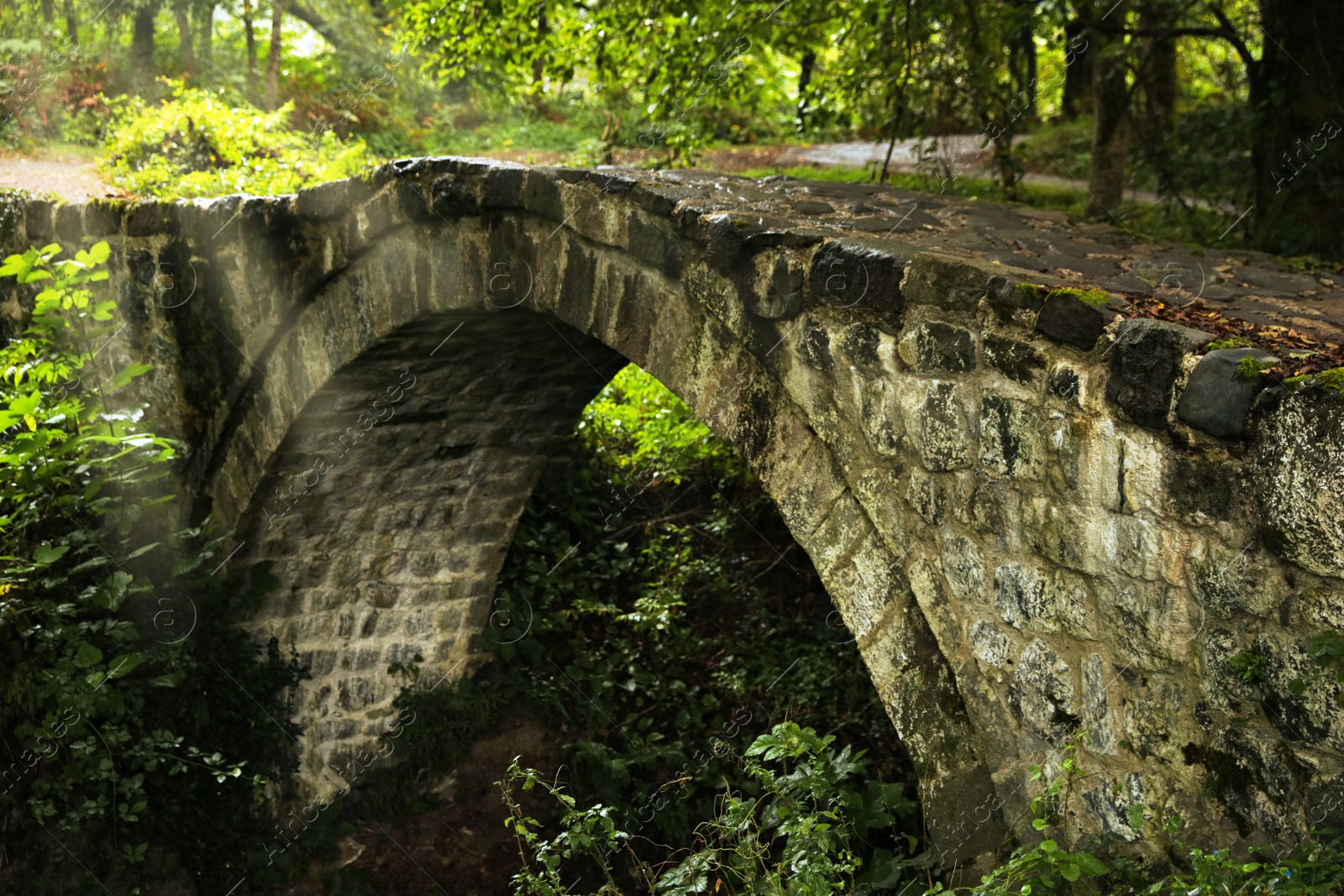 Photo of Beautiful old stone bridge and green trees in park