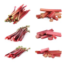 Image of Set with fresh rhubarb stalks isolated on white