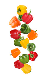 Falling different ripe bell peppers on white background
