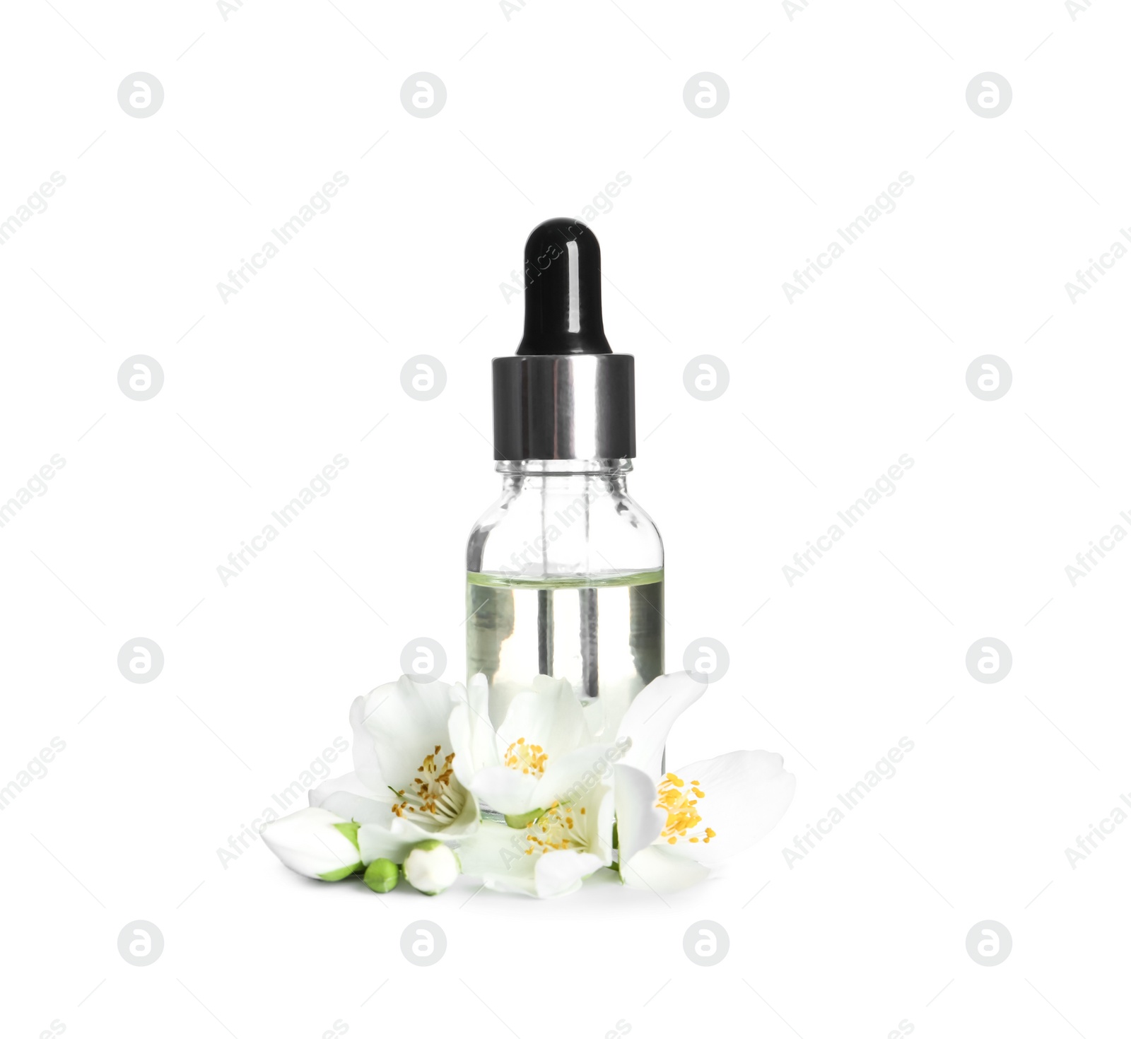 Photo of Jasmine essential oil and fresh flowers on white background