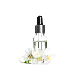 Jasmine essential oil and fresh flowers on white background