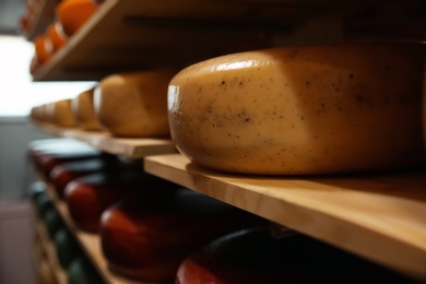 Fresh cheese on rack in factory warehouse, closeup