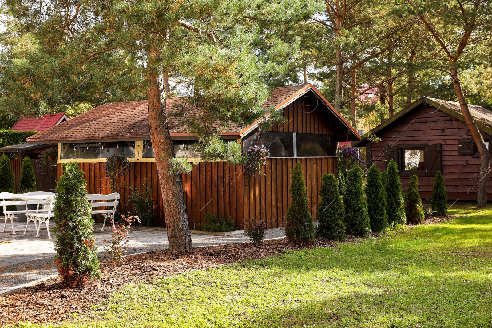 Photo of Cozy wooden house surrounded by lush nature on sunny day