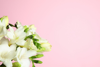 Photo of Beautiful freesia flowers on light pink background, closeup. Space for text