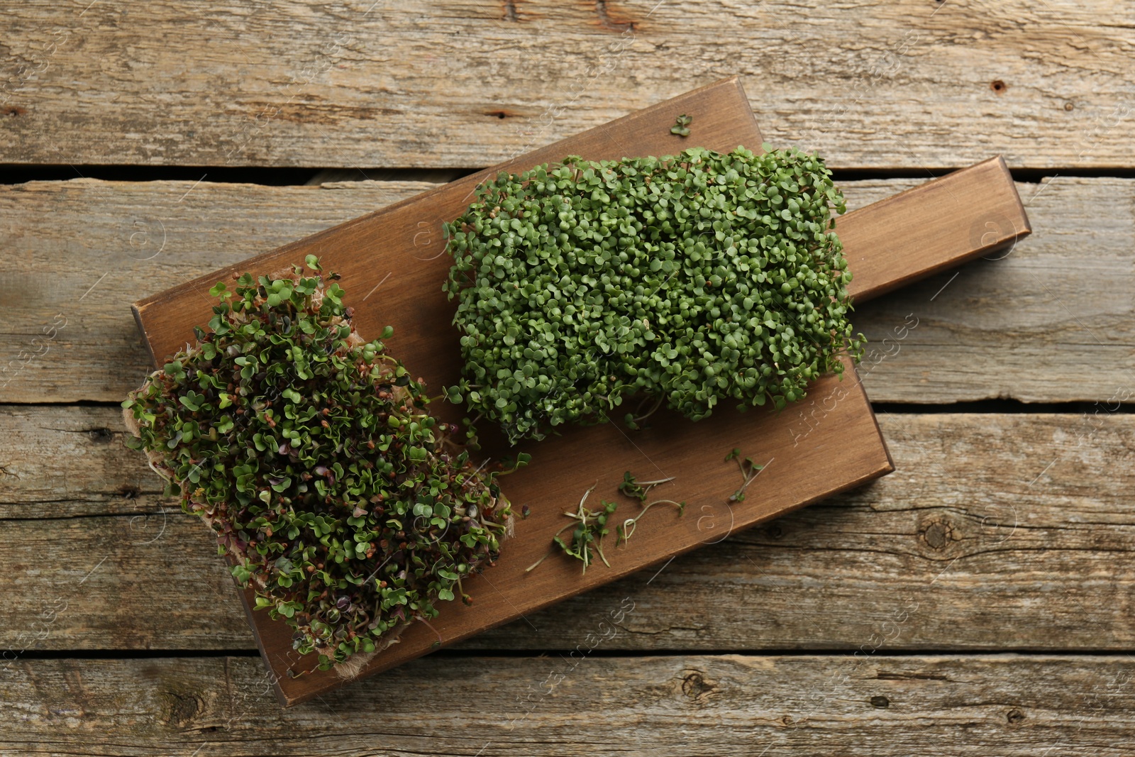 Photo of Fresh microgreens on wooden table, top view