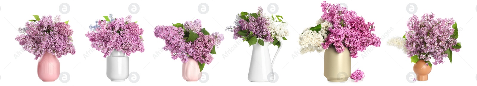 Image of Collage with beautiful lilac flowers in different vases on white background. Banner design