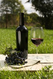 Photo of Red wine and delicious grapes served on green grass in park