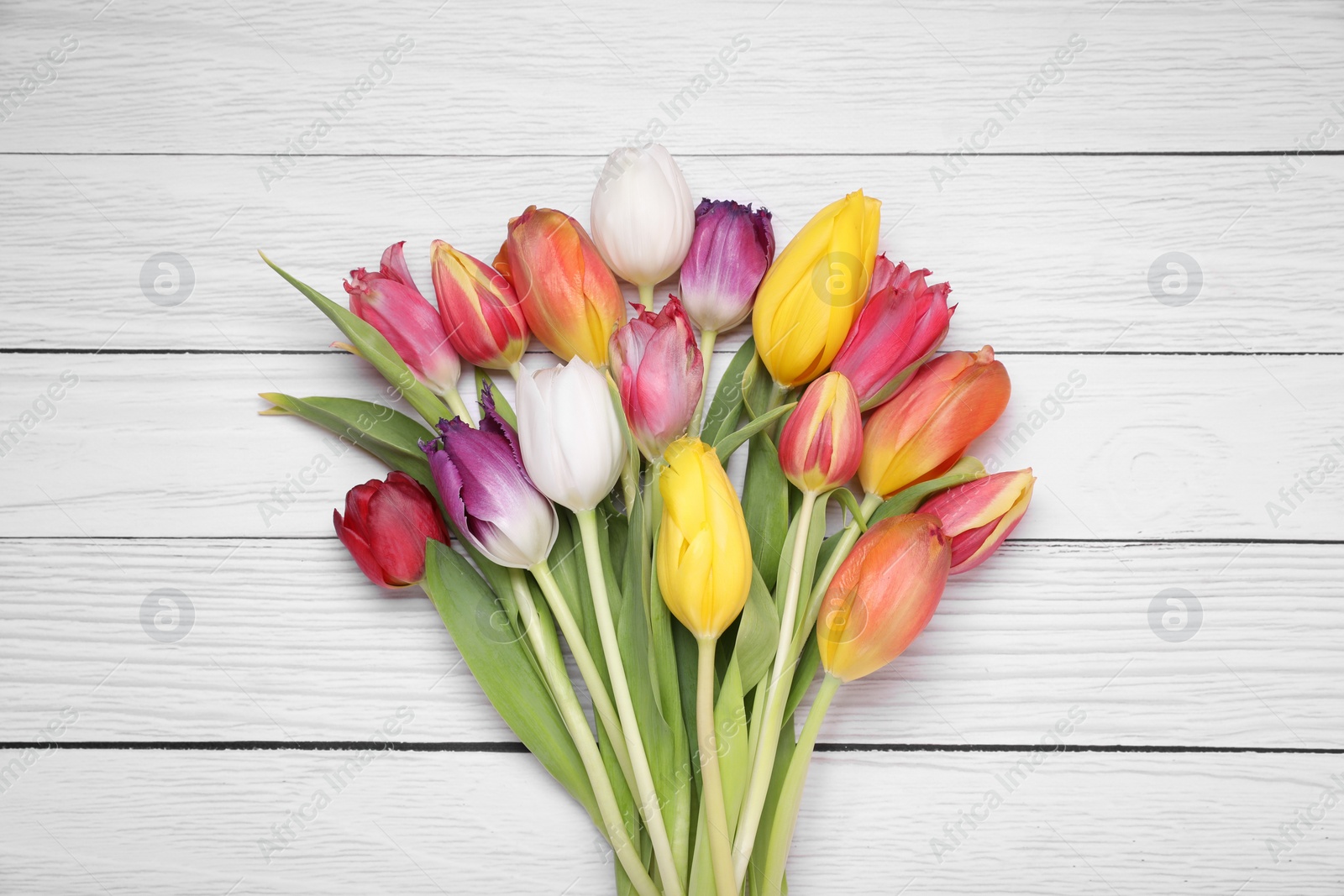 Photo of Beautiful colorful tulip flowers on white wooden table, top view