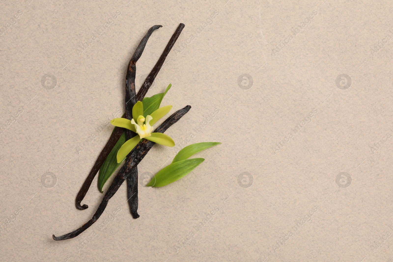 Photo of Vanilla pods, beautiful flower and green leaves on beige background, top view. Space for text