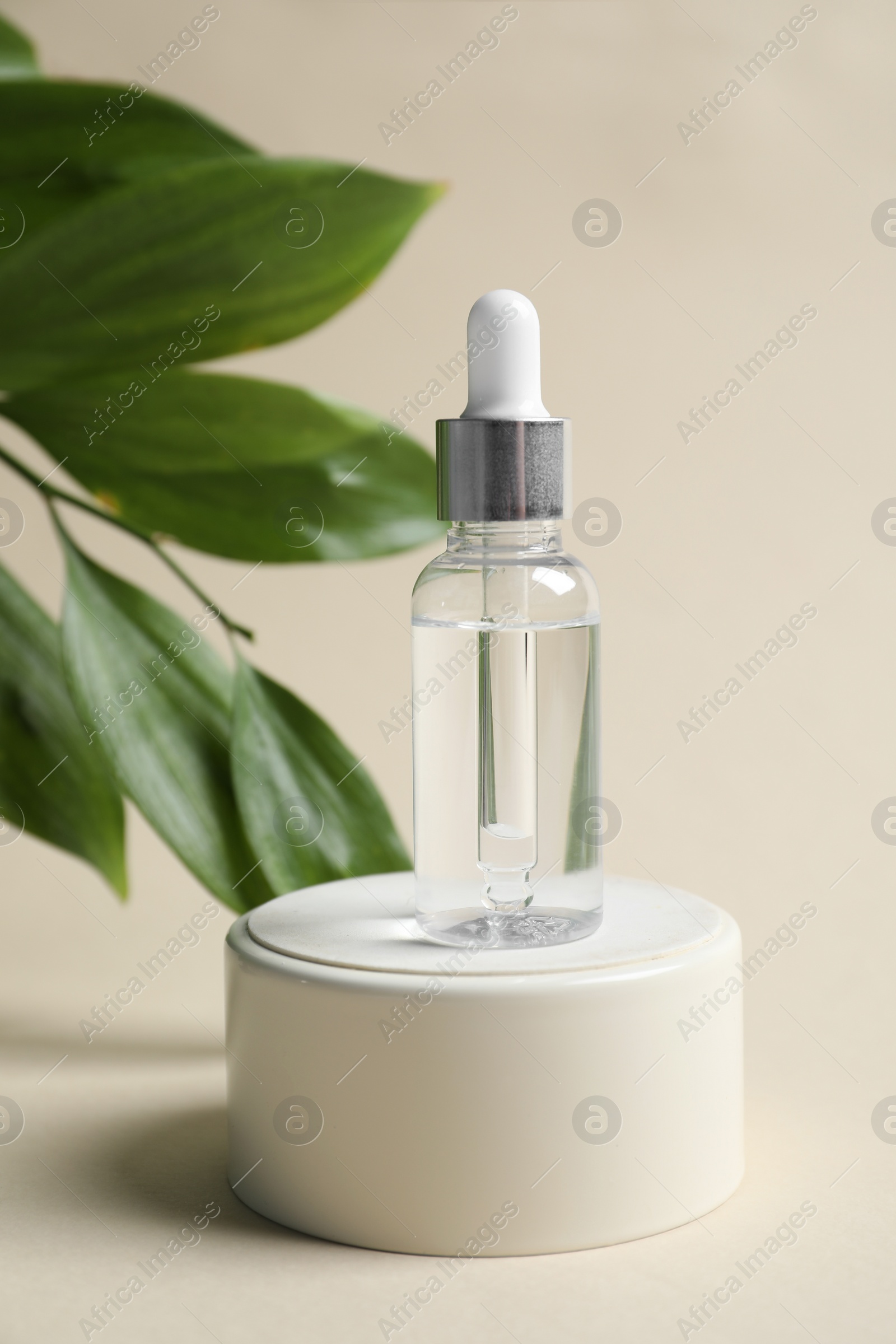 Photo of Bottle of cosmetic oil and green leaves on beige background