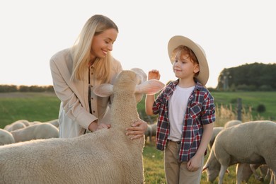 Photo of Mother and son stroking sheep on pasture. Farm animals