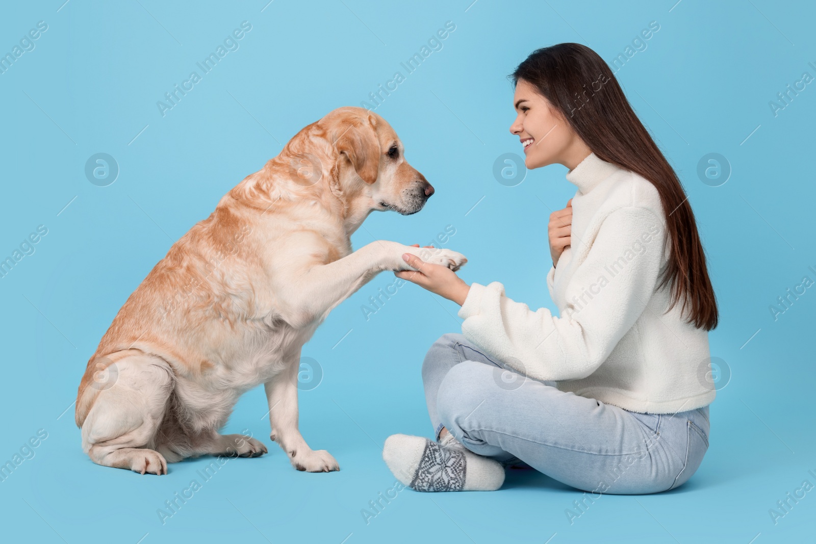 Photo of Cute Labrador Retriever giving paw to happy woman on light blue background