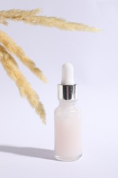 Bottle of cosmetic serum and dry plant on white background