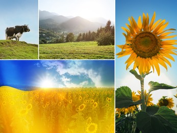 Image of Collage with different beautiful photos devoted to Ukrainian nature