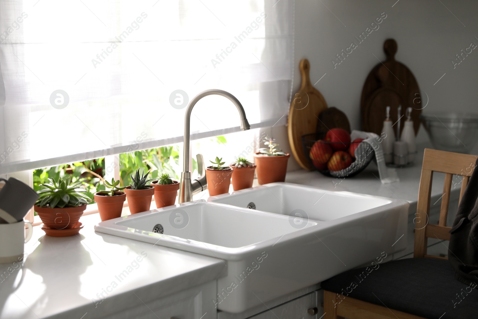 Photo of Different potted plants on window sill in kitchen