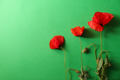 Beautiful red poppy flowers on green background, flat lay. Space for text