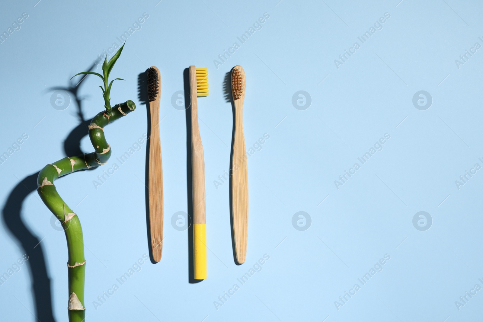 Photo of Wooden toothbrushes and bamboo on light blue background, flat lay. Space for text