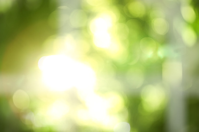 Blurred view through window on garden in morning