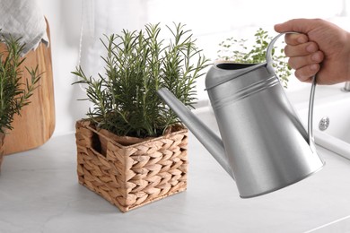 Photo of Man watering potted rosemary at white countertop, closeup