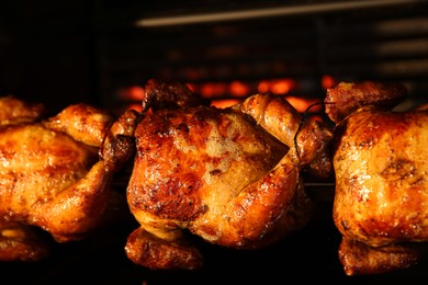 Grilling whole chickens in rotisserie machine, closeup