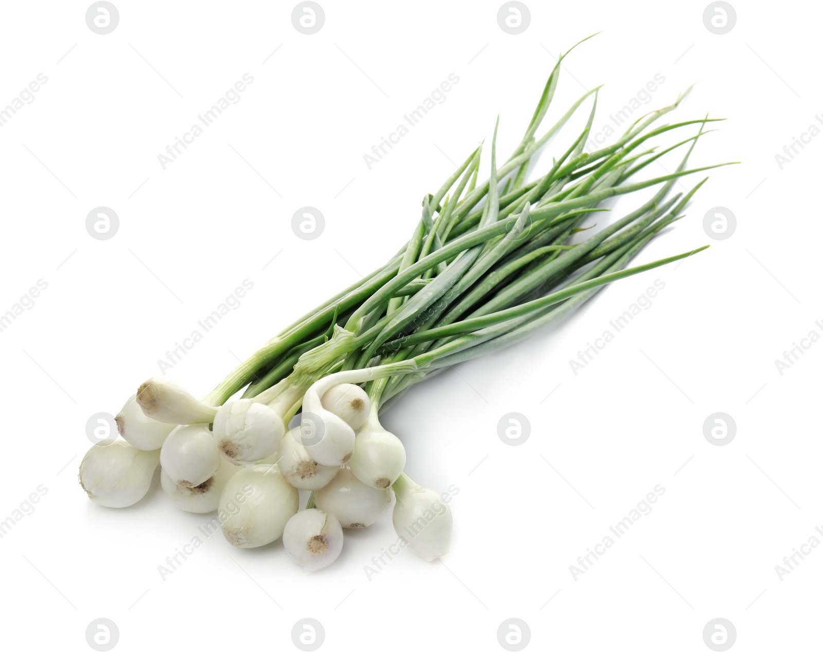 Photo of Fresh green onion on white background