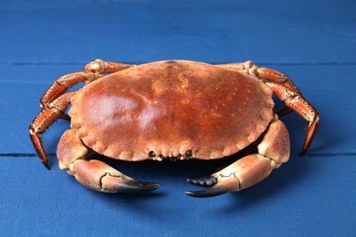 Photo of Delicious boiled crab on blue wooden table, closeup