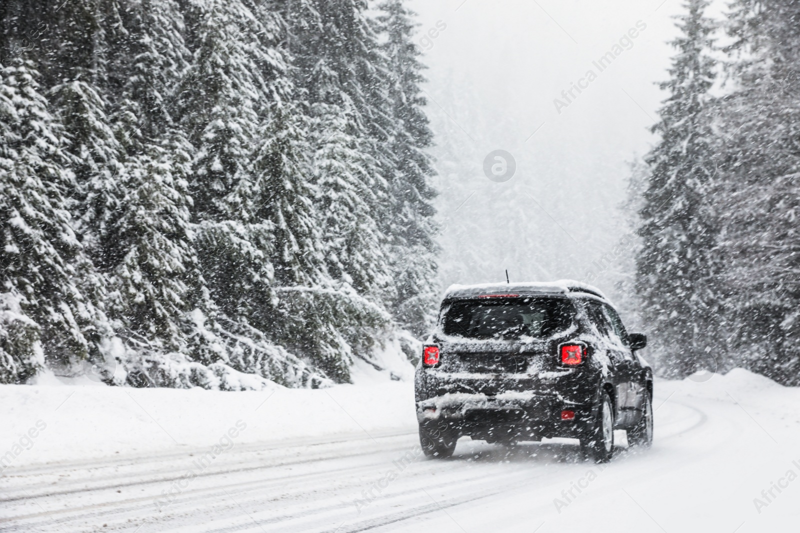 Photo of Modern car on snowy road near forest. Winter vacation