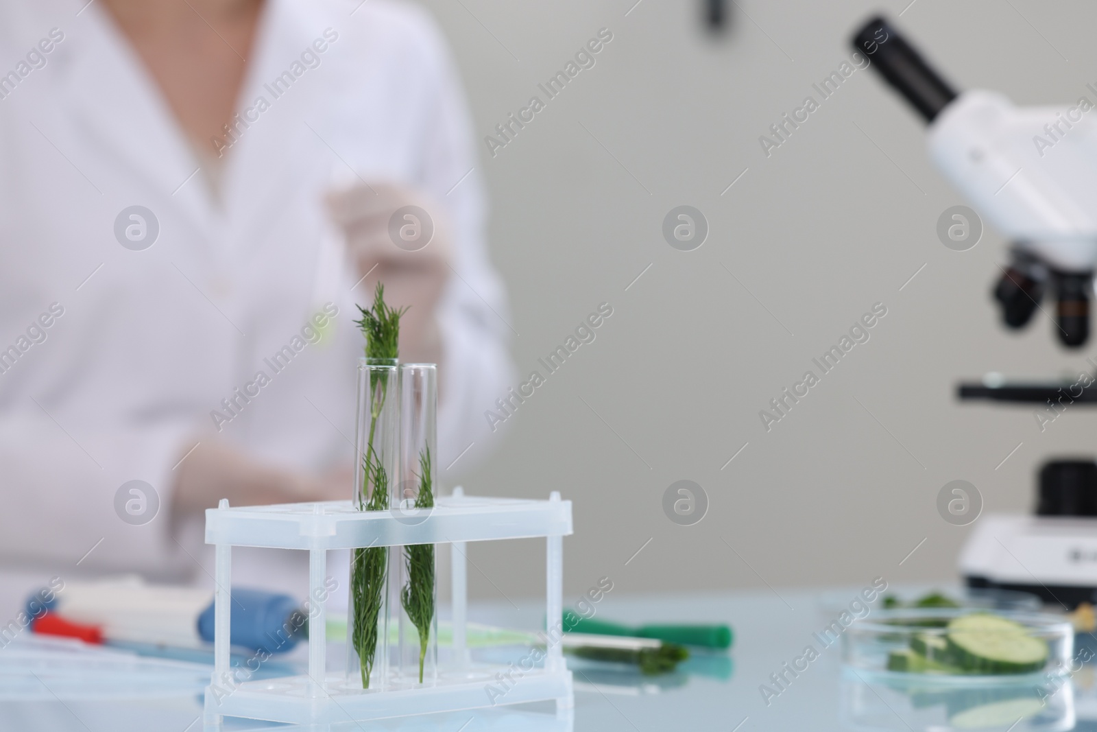 Photo of Quality control. Food inspector working in laboratory, focus on test tubes with dill