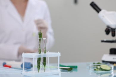 Photo of Quality control. Food inspector working in laboratory, focus on test tubes with dill