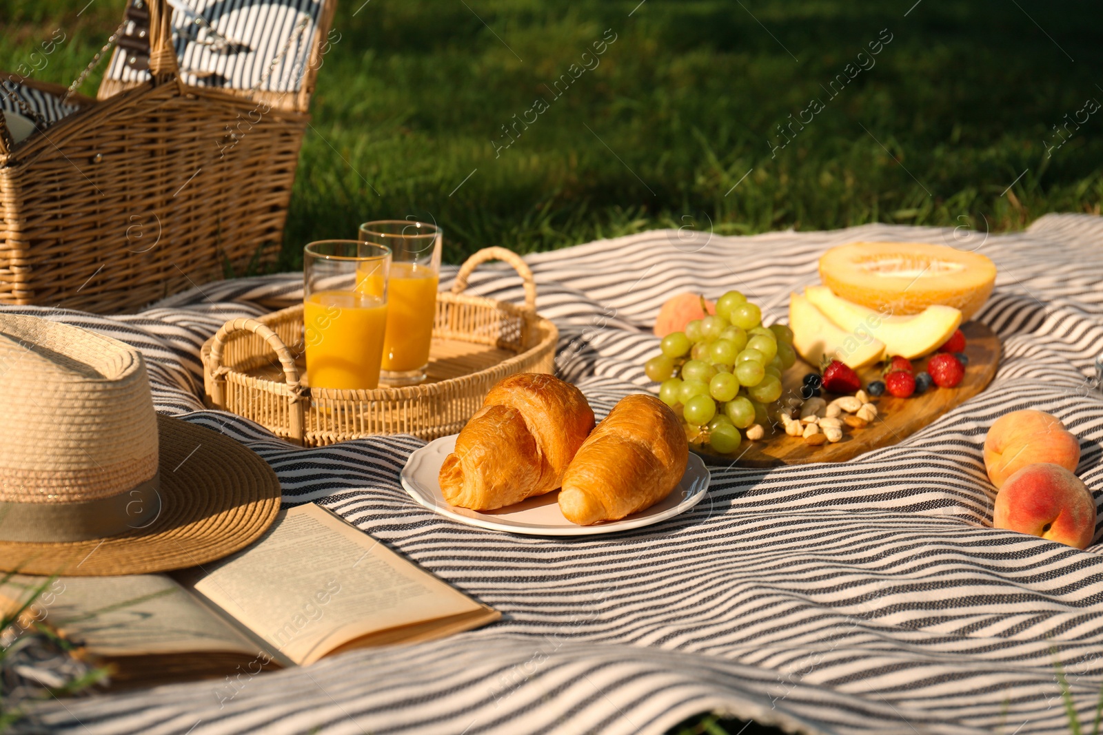 Photo of Picnic blanket with delicious food and juice on green grass outdoors