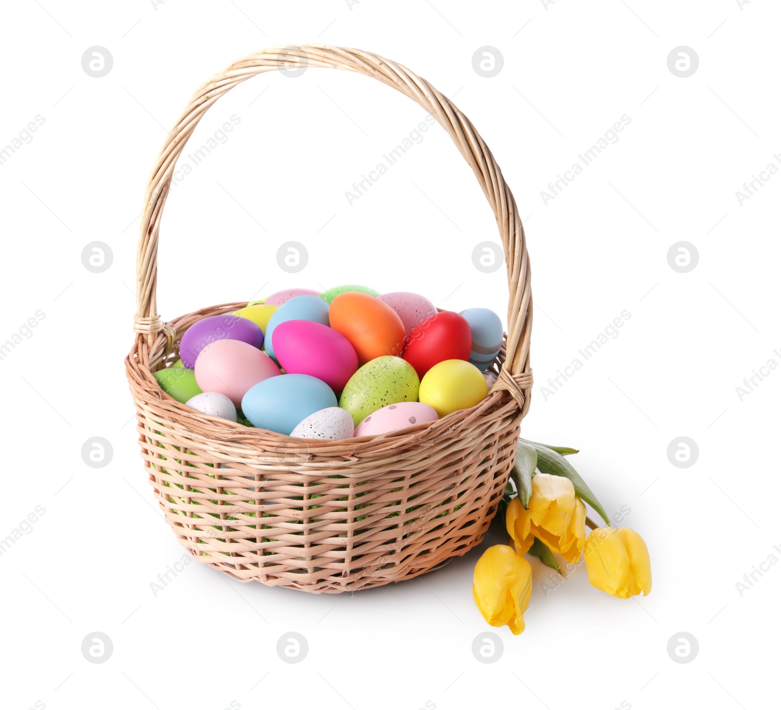 Photo of Wicker basket with beautifully painted Easter eggs and tulips isolated on white