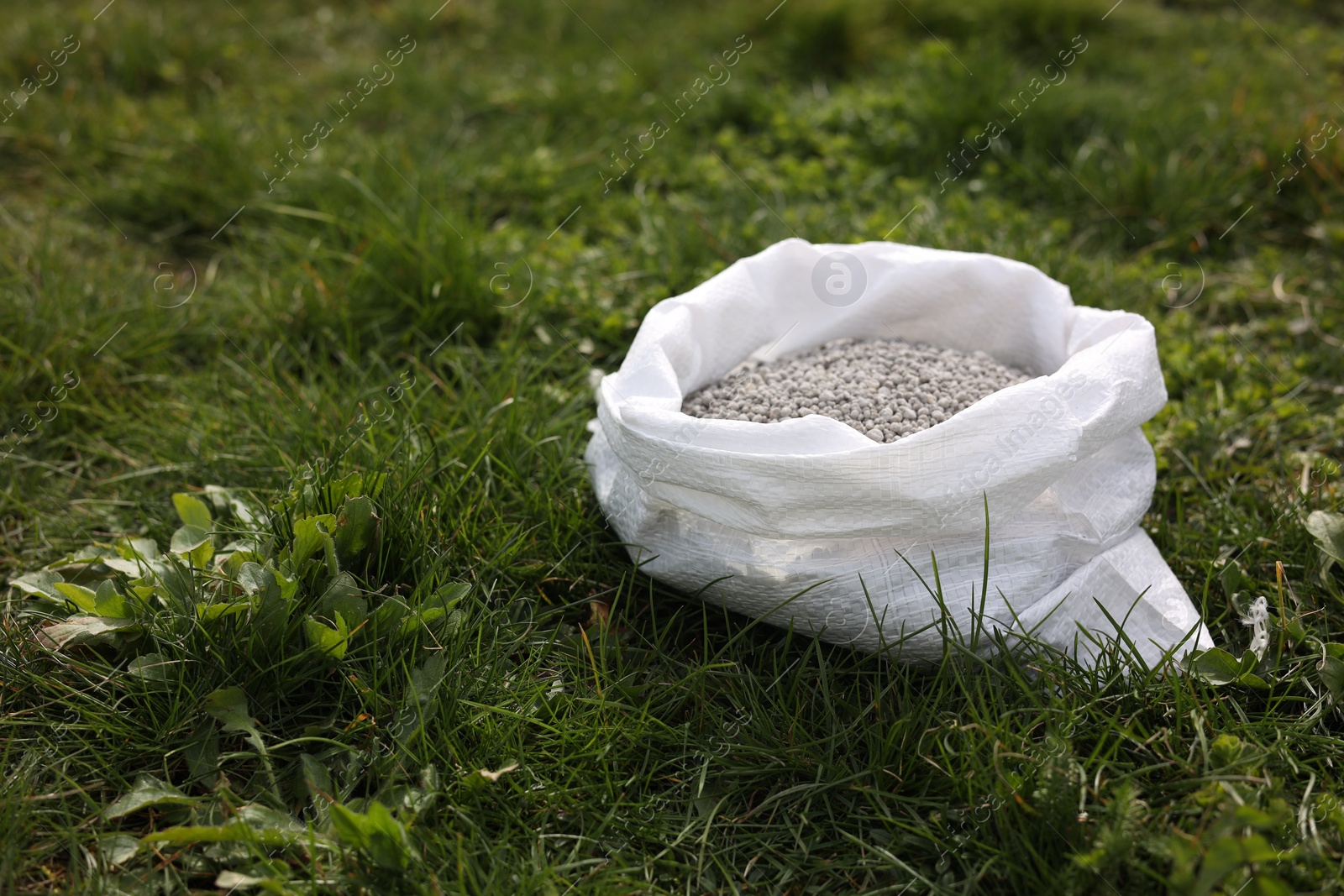 Photo of Fertilizer in bag on green grass outdoors, space for text