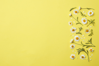 Photo of Flat lay composition with fresh chamomiles on yellow background. Space for text