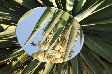 Photo of Round mirror on beautiful plant reflecting flowers and sky