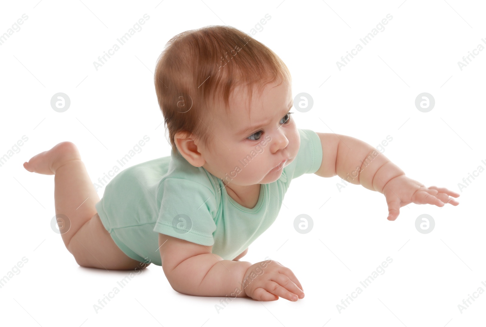 Photo of Cute little baby crawling on white background