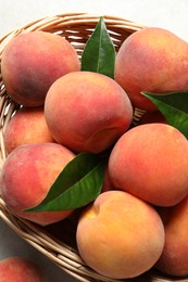 Photo of Fresh peaches and leaves in wicker basket on table, top view