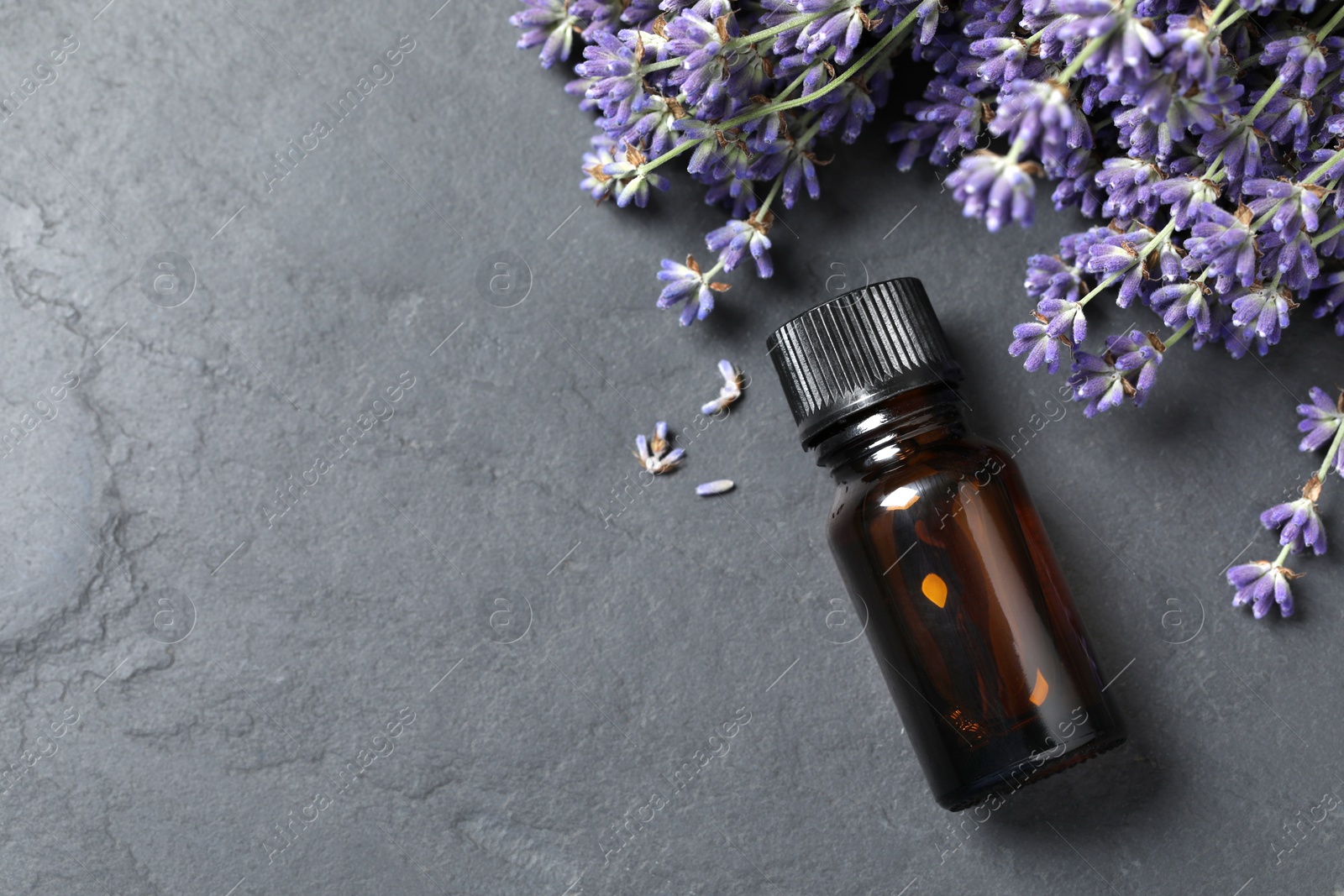 Photo of Bottle with essential oil near lavender on grey textured table, flat lay. Space for text