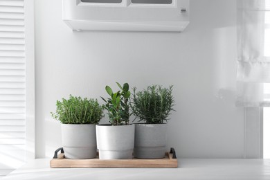 Photo of Different aromatic potted herbs on white table indoors