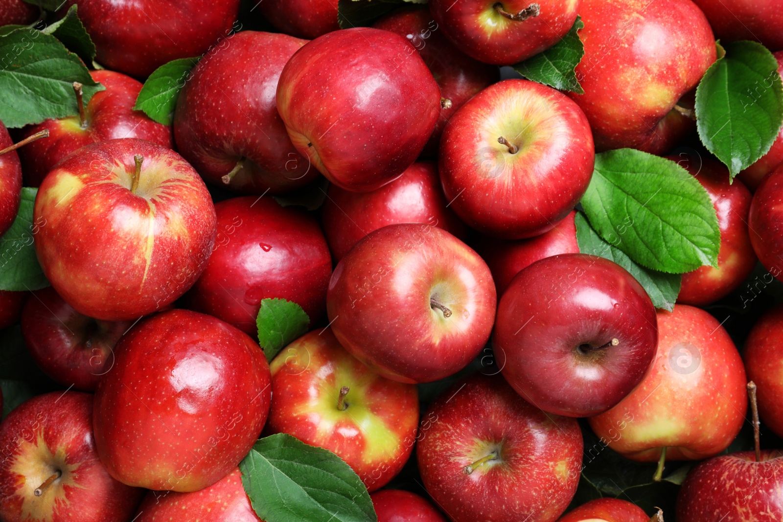 Photo of Pile of tasty red apples with leaves as background, top view