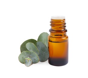 Photo of Bottle of eucalyptus essential oil and plant branch on white background