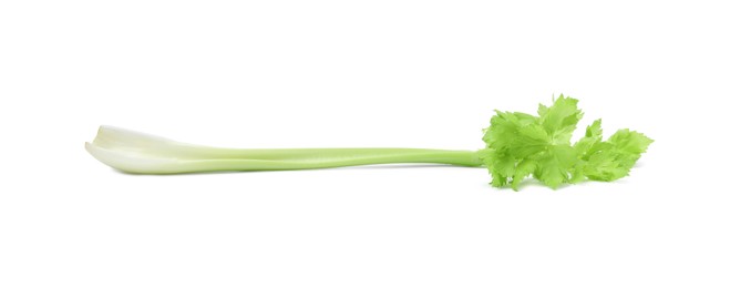 Photo of Fresh green celery stem isolated on white