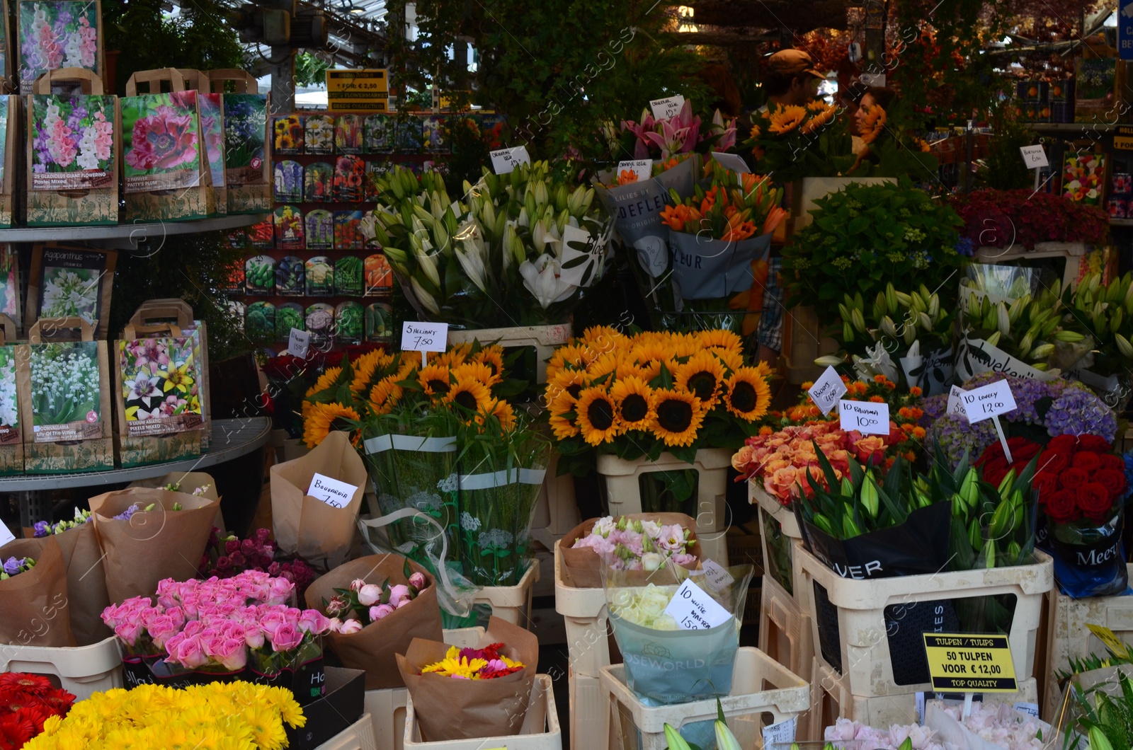 Photo of Many different colorful flowers in florist shop