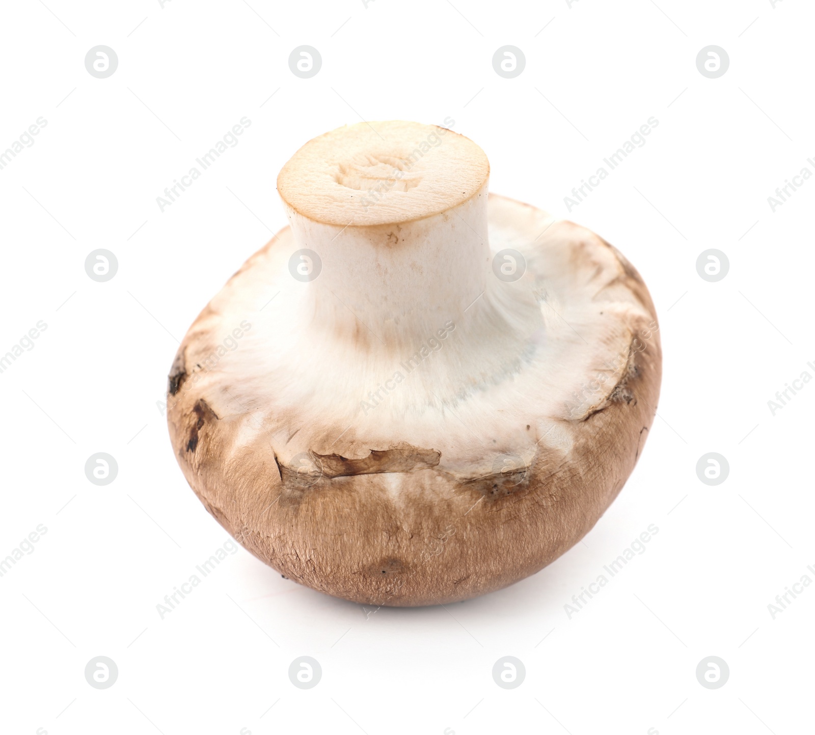 Photo of Fresh raw champignon mushroom on white background