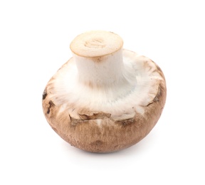 Fresh raw champignon mushroom on white background