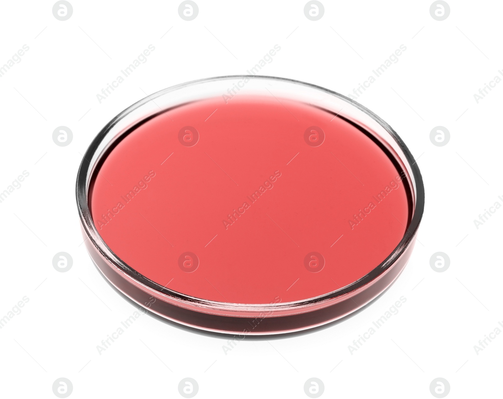 Image of Petri dish with red liquid isolated on white. Laboratory glassware