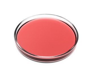 Image of Petri dish with red liquid isolated on white. Laboratory glassware