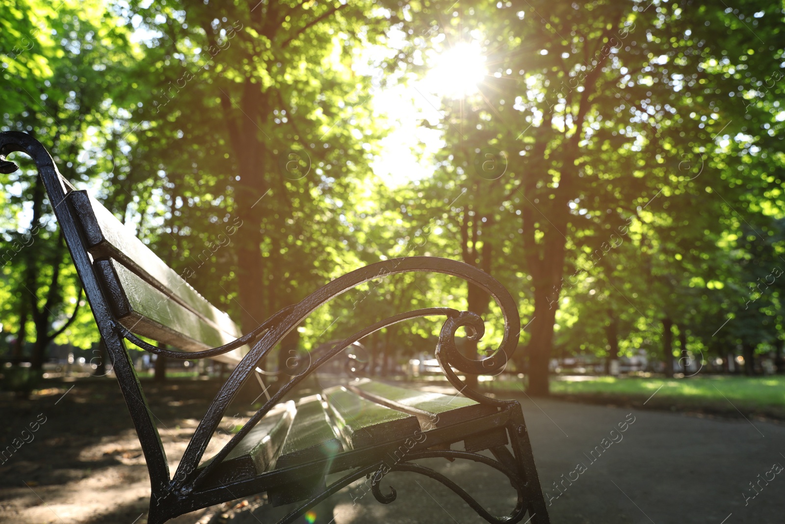 Photo of Beautiful view of bench in park on sunny day