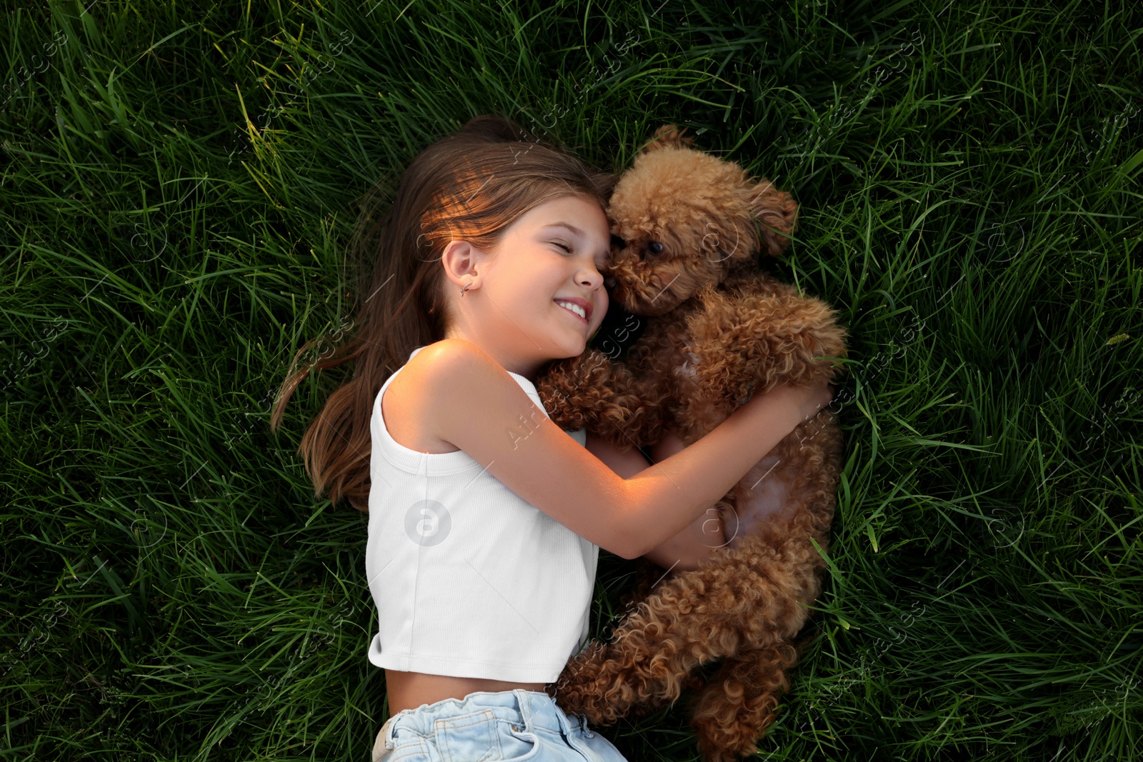 Photo of Beautiful girl with cute Maltipoo dog on green lawn outdoors, top view